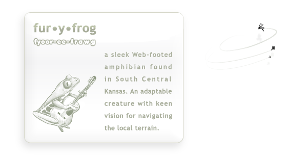 (fyoor-ee-frawg) Furyfrog Digital Agency in Wichita